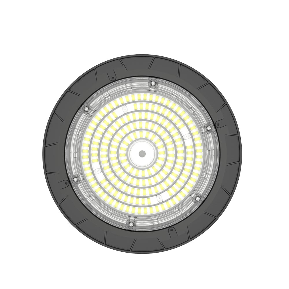 L16428__2.jpg